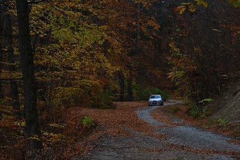 Car On The Road