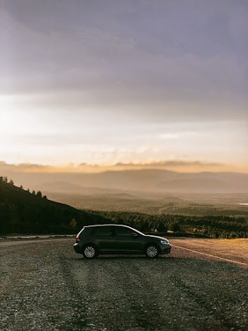 Car Parked on Field Near Trees