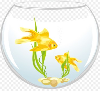Carassius auratus Royalty-free Clip art - Vector round fish tank 
