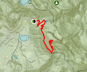 Carbon Trail to Bearhead Trail - Washington | AllTrails