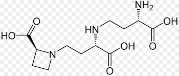 Carboxylic acid Substance theory Mandelic acid Amino acid -  