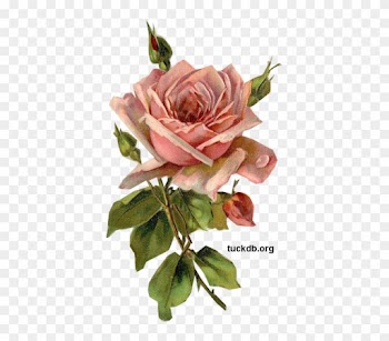 Card And Scrapbook Embellishments By Glenda - Rose