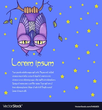 Card for text with an owl in the night sky vector image