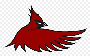 Cardinal Hayes High School Arizona Cardinals St. Louis Cardinals American football NFL - american football 