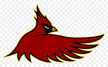 Cardinal Hayes High School Arizona Cardinals St. Louis Cardinals American football NFL - american football 