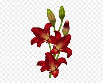 Cards - Clip Art Flower Stargazer