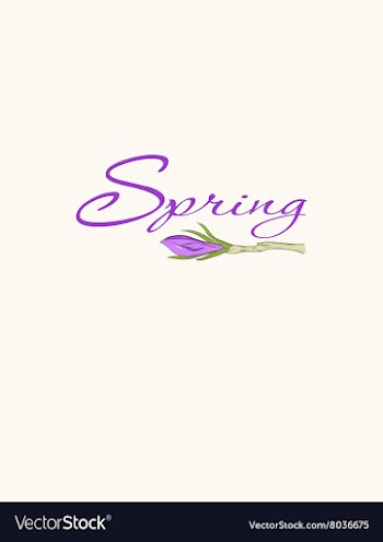  					Cards with crocus spring flowers vector image														