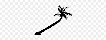 Caribbean Beach Palm Silhouette Palm Tree - Bent Palm Tree Silhouette
