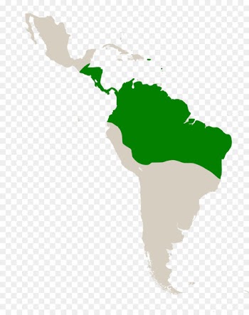 Caribbean South America Latin America Middle America Geography -  