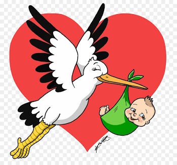 Caricature Illustration Drawing Clip art Cartoon - cegonha illustration 