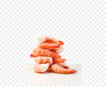 Caridea Seafood Shrimp Fried prawn - Shrimp 