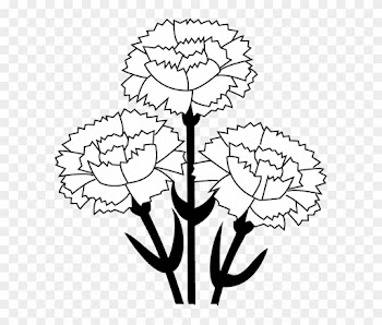 Carnation Clip Art - Carnation Flower Experiment Worksheet