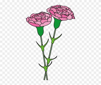 Carnation Cliparts - Garden Roses