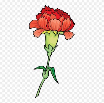 Carnation Cliparts - Rose