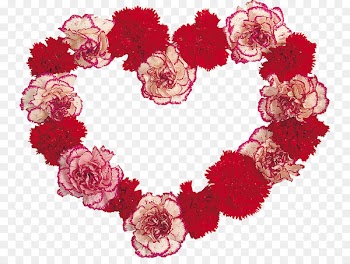 Carnation Cut flowers Floral design Garden roses - stary frame 