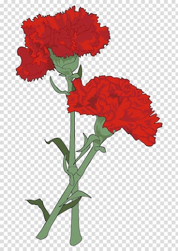 Carnation Drawing Watercolor painting Cut flowers, flower transparent background PNG clipart