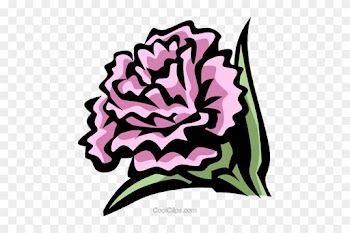Carnation Royalty Free Vector Clip Art Illustration - Word