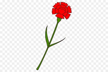 Carnation Vacuum cleaner HEPA Flower Home appliance -  