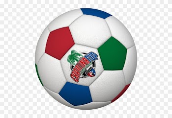 Carolina Cup Ball - Soccer Ball