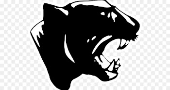 Carolina Panthers Aransas Pass High School Superior Senior Panthers American football Sports - american football 
