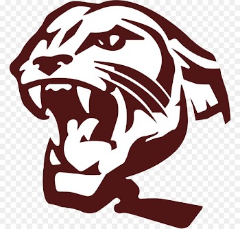 Carolina Panthers Benton High School Siloam Springs High School Sports Panthera - dary banner 