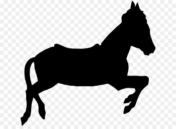 Carousel, Horse, Carousel Horse Carousel Horse, Mammal, Vertebrate PNG