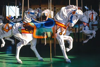 Carousel horse, Ocean City, New Jersey (1978)… | Free public domain photo