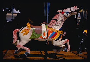 Carousel horse, Sportland pier, Wildwood, New… | Free public domain photo