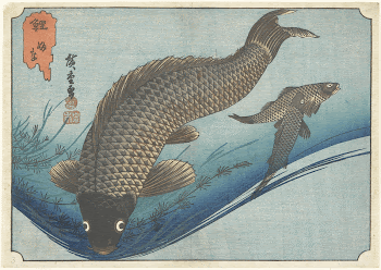 Carp and CruciansOriginal from the Minneapolis | Free Photo - rawpixel