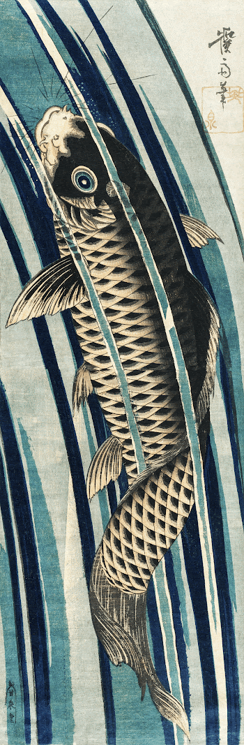 Carp Ascending a Waterfall (1830) | Free Photo Illustration - rawpixel