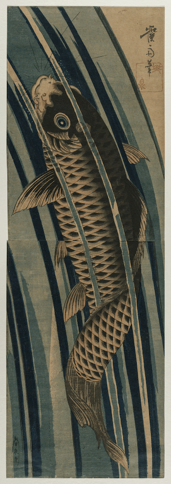 
Carp Ascending a Waterfall (early | Free Photo - rawpixel