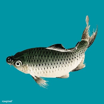 Carp by Kōno Bairei (1844-1895). Digitally e.. | Free stock vector - 467138