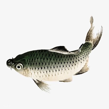 Carp by Kōno Bairei (1844-1895). Digitally e.. | Free stock vector - 467143