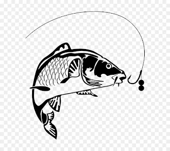Carp fishing Common carp - fish 