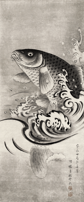 Carp Leaping Out of Water | Free Photo Illustration - rawpixel