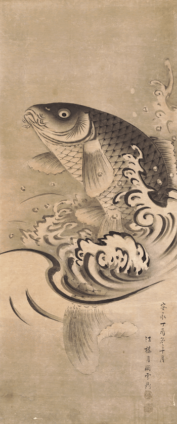 Carp Leaping Out of Water | Free Photo - rawpixel