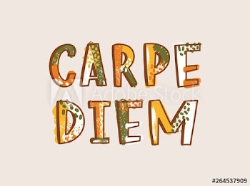 Carpe Diem latin phrase written with decorative calligraphic font