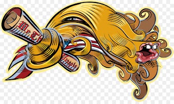 Carpet Product Illustration Illinois Money back guarantee -  