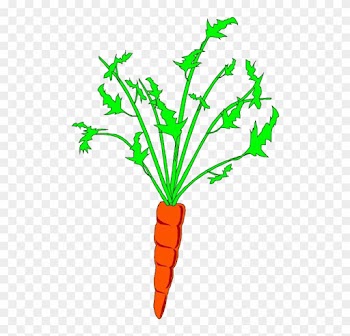 Carrot Animation Clip Art - Baby Carrot