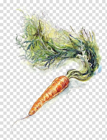 Carrot cake Icing Vegetable Painting, Hand-painted carrot transparent background PNG clipart