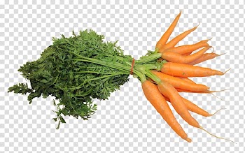 Carrot cake Juice Vegetable, Fresh Carrot transparent background PNG clipart