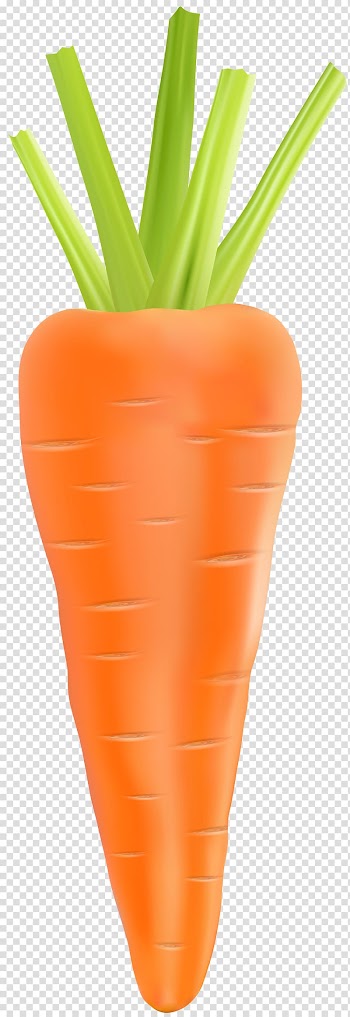 Carrot , Carrot Vegetable, Carrot transparent background PNG clipart