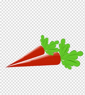 Carrot Cartoon Drawing Vegetable, Cartoon carrot transparent background PNG clipart