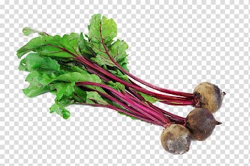 Carrot Chard Sushi Vegetable Food, Carrot vegetables transparent background PNG clipart