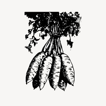 Carrot clipart, drawing illustration vector. | Free Vector Illustration - rawpixel