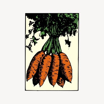 Carrot clipart, drawing illustration vector. | Free Vector Illustration - rawpixel