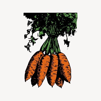 Carrot clipart, drawing illustration vector. | Free Vector Illustration - rawpixel