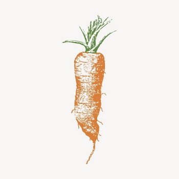 Carrot clipart, vintage vegetable illustration | Free Vector - rawpixel