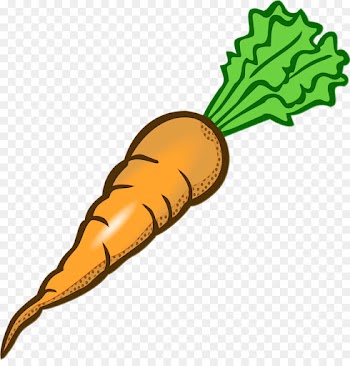 carrot daikon radish vegetable root vegetable