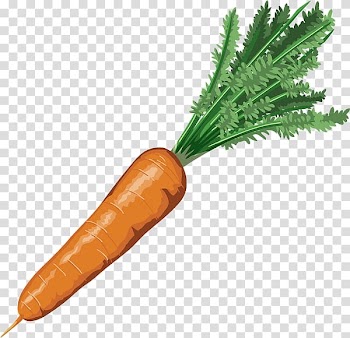 Carrot Drawing Nutrient Vegetable, carrot transparent background PNG clipart